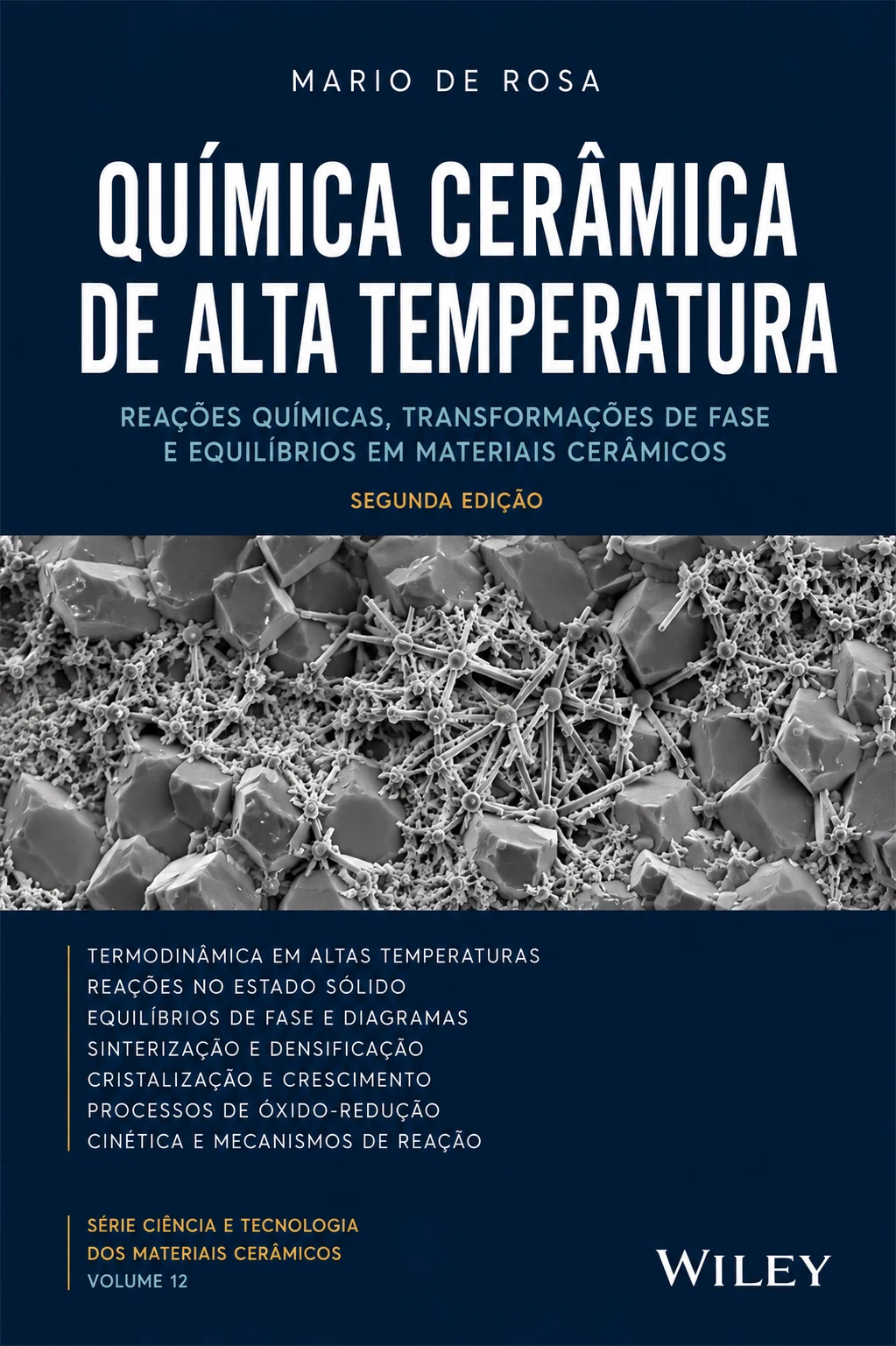 Mario De Rosa – chimica ceramica ad alta temperatura